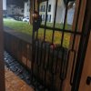 dia 24 de Fevereiro de 2025 0.42
